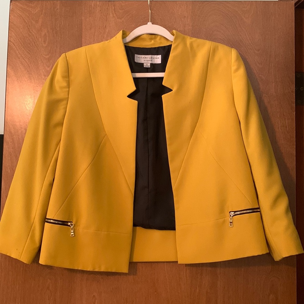 Blazer- Tahari Levine size 10